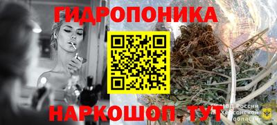 гашик Ипатово