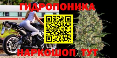 гашик Ипатово