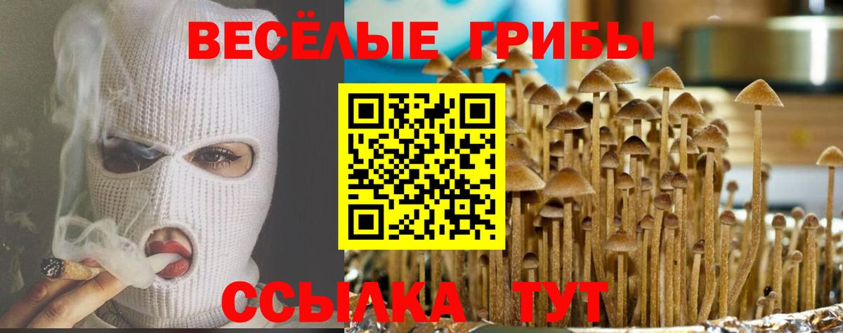 Псилоцибиновые грибы MAGIC MUSHROOMS Майский