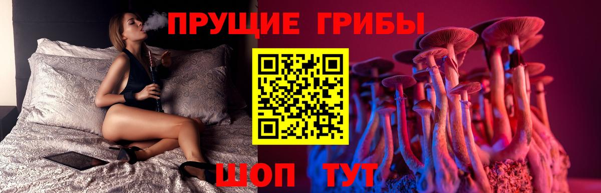 Галлюциногенные грибы Psilocybine cubensis  Вход с VPN  Майский 